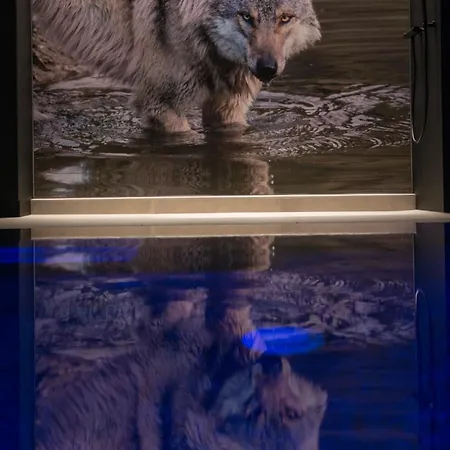 La Loge Aux Loups, Contemporaine Avec Piscine Interieure, Sauna, Local Skis Et Velos, A 100 M Du *