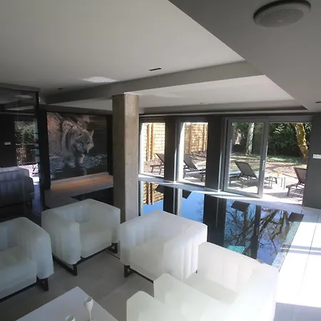 La Loge Aux Loups, Contemporaine Avec Piscine Interieure, Sauna, Local Skis Et Velos, A 100 M Du Gerardmer