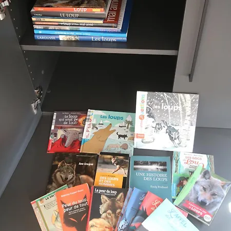 La Loge Aux Loups, A 100 M Du Lac, Piscine Interieure, Sauna, Cheminee, Local Skis Velos וילה ג'רארדמר