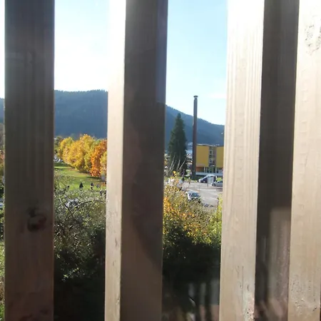La Loge Aux Loups, A 100 M Du Lac, Piscine Interieure, Climatisation, Local Velos Gérardmer