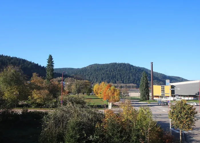 Vila La Loge Aux Loups, A 100 M Du Lac, Piscine Interieure, Sauna, Cheminee, Local Skis Velos