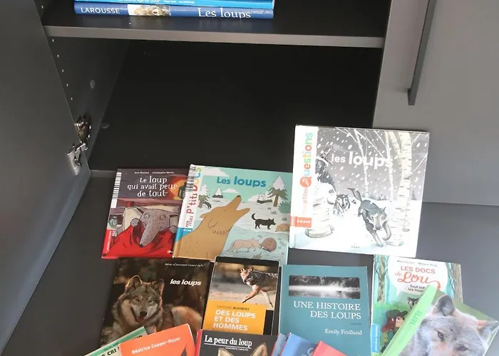 La Loge Aux Loups, A 100 M Du Lac, Piscine Interieure, Sauna, Cheminee, Local Skis Velos Vila Gérardmer