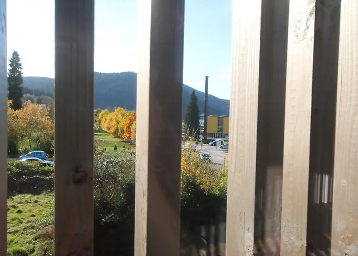 La Loge Aux Loups, A 100 M Du Lac, Piscine Interieure, Sauna, Cheminee, Local Skis Velos Gérardmer